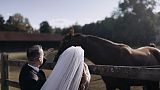 Europe Award 2024 - 年度最佳剪辑师 - Scenic landscape dream wedding with horse