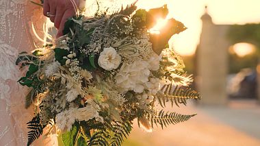 Spring Award 2025 - Nejlepší color grader - Colorist The Line