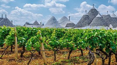 Spring Award 2025 - Best Social Edit - pugliami!