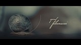 Award 2016 - Best Highlights - Wedding Highlight_Fibonacci