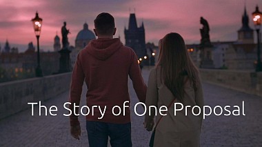Award 2016 - Nejlepší Lovestory - The Story of One Proposal
