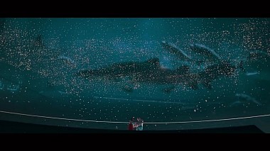 Award 2016 - Найкращий відеомонтажер - Dmitriy & Svetlana l Dubai UAE