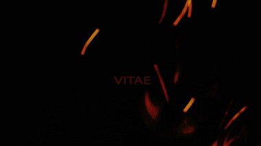 Award 2016 - Best Cameraman - vitae