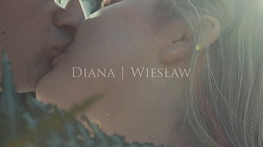 Award 2016 - Nejlepší color grader - Road To London | D&W Teaser