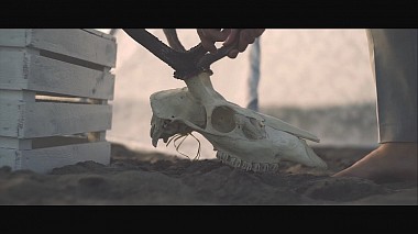 PlAward 2017 - Best Cameraman - Patrycja + Dawid | Wedding Highlights