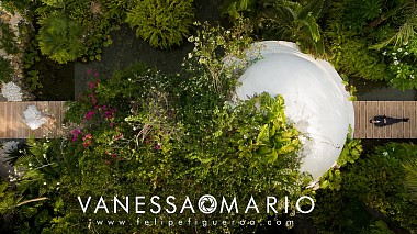 Award 2017 - 年度最佳剪辑师 - Vanessa & Mario @ Magical Dream comes True