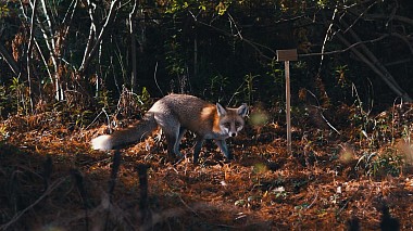 Award 2017 - Nejlepší pilot - BGBM 4K