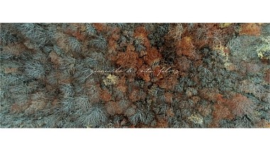 Award 2017 - Best Walk - ★★★ V+T ❤︎