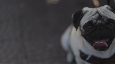 RoAward 2018 - Nejlepší pilot - Claudia & Cristian Wedding Day