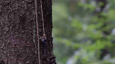 RoAward 2018 - Salva La Data - Gothic Save the Date