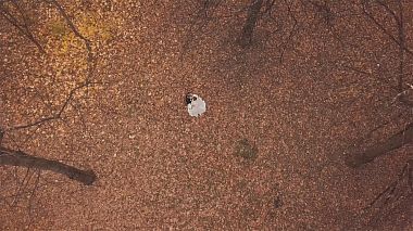 UaAward 2018 - Nejlepší pilot - Wedding showreel 2018