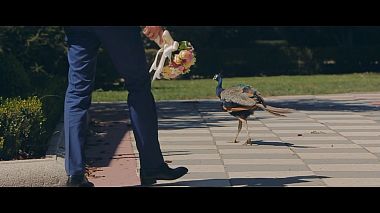 RuAward 2018 - Καλύτερος Μοντέρ - Dasha & Igor | Spain