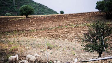 ItAward 2018 - Best Sound Producer - Pecore VS Volatili