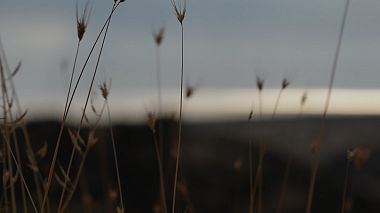 ItAward 2018 - Best Highlights - VENTU D’AMURI