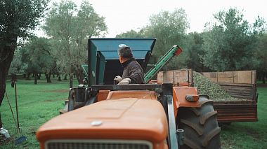 ItAward 2018 - Best Debut of the Year - Olearia