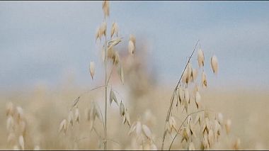 Award 2018 - Najlepszy Edytor Wideo - HURRICANE