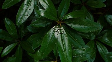 Award 2018 - Best Highlights - Marta i Jacek