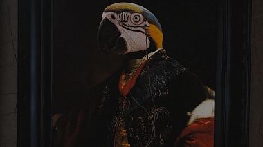 PlAward 2019 - Melhor editor de video - Alice's Adventures in Wonderland