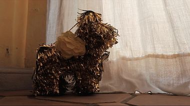 LatAm Award 2019 - Nejlepší úprava videa - Fragments