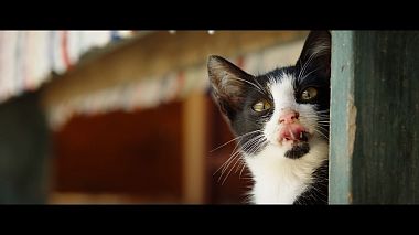 RoAward 2020 - Best Cameraman - 2019 Wedding Reel