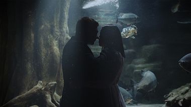 PlAward 2020 - Найкращий відеомонтажер - Klaudia & Daniel - Perfect Heart-Beat Bound