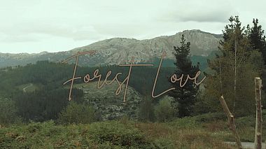 Award 2020 - Mejor editor de video - Forest Love
