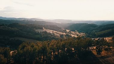 Award 2020 - Bester Farbgestalter - Ż+P