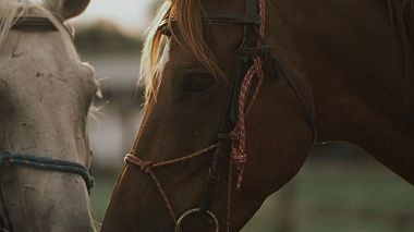 Award 2020 - Best Highlights - Pirin Golf Wedding