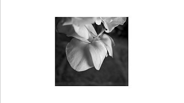 Award 2021 - Nejlepší videomaker - Sergey & Alexandra