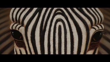 Award 2021 - Nejlepší kameraman - SHOWREEL