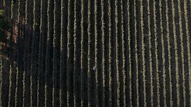 {награда} - {категория} - {заглавие}