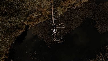 Poland Award 2022 - Nejlepší pilot - What a pure love