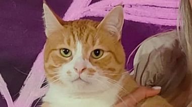 Russia Award 2022 - Best Walk - K&A