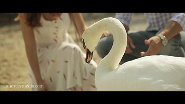 Contest 2015 - 年度最佳订婚影片 - Dasha&Misha. LoveStory. Italy