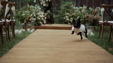 Ukraine Award 2023 - Best Highlights - Нехай любов іскриться ! Антон та Вікторія