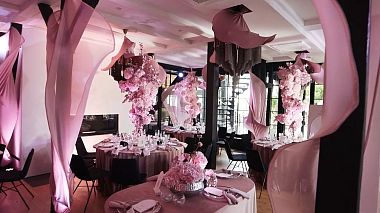 Award 2024 - Καλύτερο Πιλοτικό - SUAR // Paulina & David