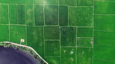 来自 岘港, 越南 的摄像师 Nakamura Koji - Wedding film_ Sarah & Chris, anniversary, event, wedding