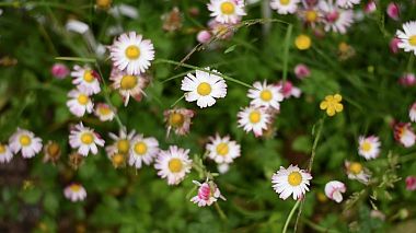 Videographer Oxana Anisimova from Londýn, Velká Británie - Boy discovering, anniversary, baby, backstage, invitation, showreel