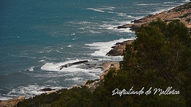 Videographer Andrey Ovcharov from Smolensk, Russland - Disfrutando de Mallorca !!!, drone-video, event, reporting