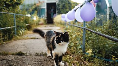 来自 沃罗涅什, 俄罗斯 的摄像师 Sergey Svezhentcev - Свадьба в глубинке. Вика и Влад., wedding