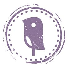 Videografo Curious Robin FIlms