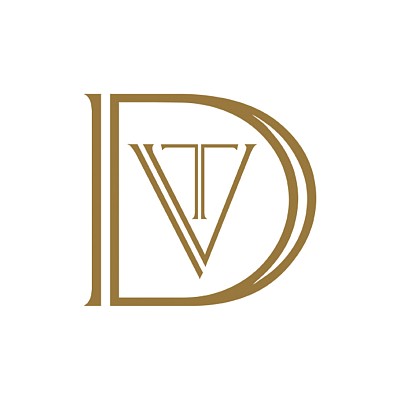 Videographer VDT VISION