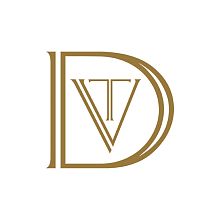 Videographer VDT VISION