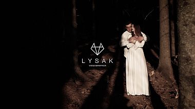 Videografo Stas Lysak da Milano, Italia - Wedding Dima & Polina, wedding
