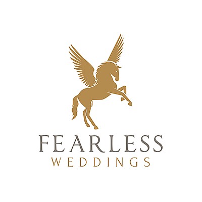 Videographer Fearless Weddings