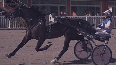 Videografo Maurizio Galizia da Taranto, Italia - Spot Ippodromo Paolo VI - 2019, advertising, corporate video, drone-video, sport
