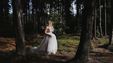 Videographer VIKTOR DEMIDOV from Saint Petersburg, Russia - Андрей и Александра, wedding