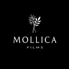 Videographer Devyn Mollica