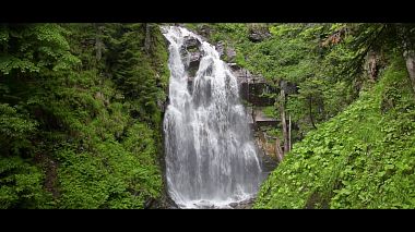 Videographer Alexander Golikov from Moscow, Russia - Наша дикая природа, advertising, drone-video