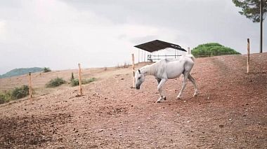 Videographer Rotera Wedding from Budapešť, Maďarsko - S&S Tuscany, Italy, wedding